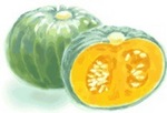 冬至かぼちゃ　Winter solstice Japanese pumpkin